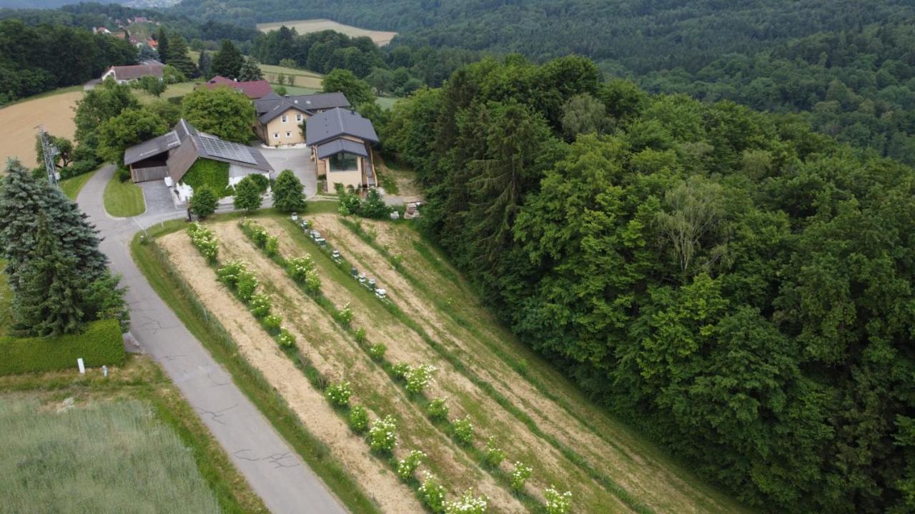 Beim Bergjosl Apartment Kirchbach in Steiermark Exterior photo